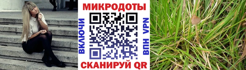 как найти наркотики  Горно-Алтайск  Галлюциногенные грибы Psilocybe 