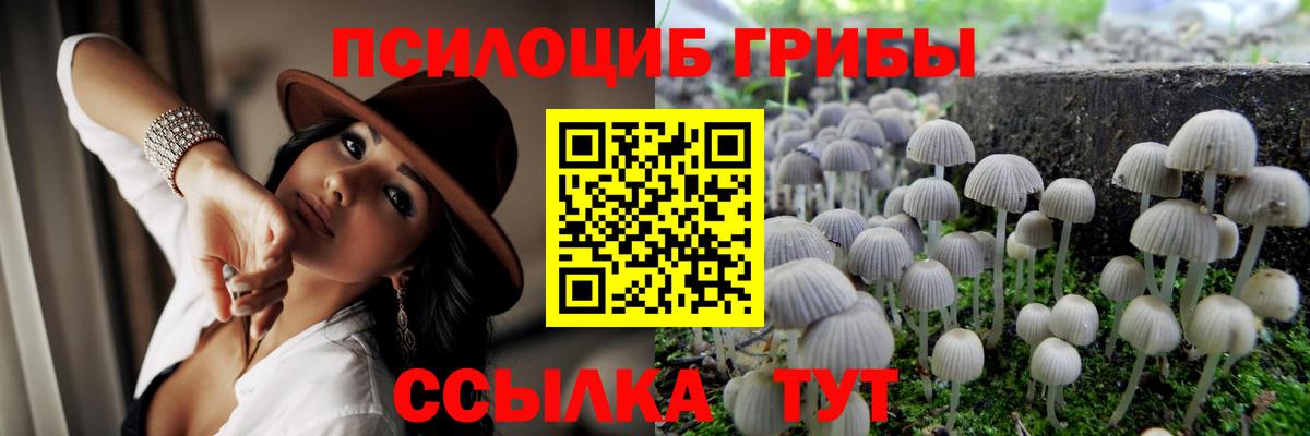 Галлюциногенные грибы MAGIC MUSHROOMS  Горно-Алтайск 